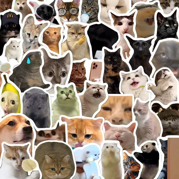 100 stickers + randomly give a pack of stickers not this type [Shop Manager's recommendation]