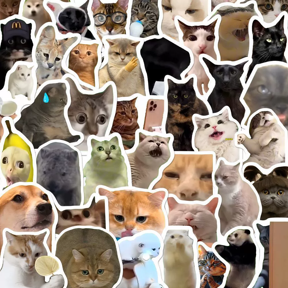 300 Paste Cat Meme Stickers Cute funny cat ins style emoticon pack picture material stickers