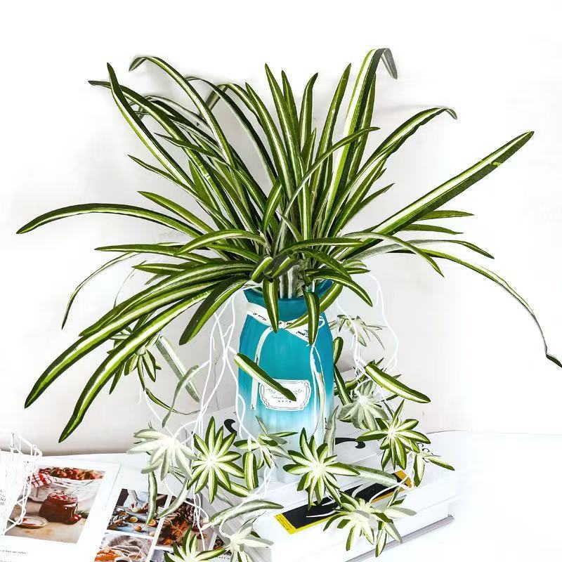 仿真5叉金边布吊兰植物墙配材把束仿真假花装饰摆件仿真花