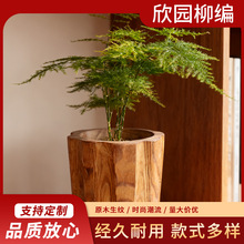 原木花盆轻质天然木实木花盆室内植物多肉草本植物家居和办公装饰