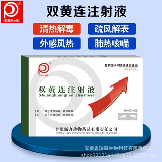 兽用双黄连注射液清热解毒外感风热疏风解表肺热咳喘中药成份兽药