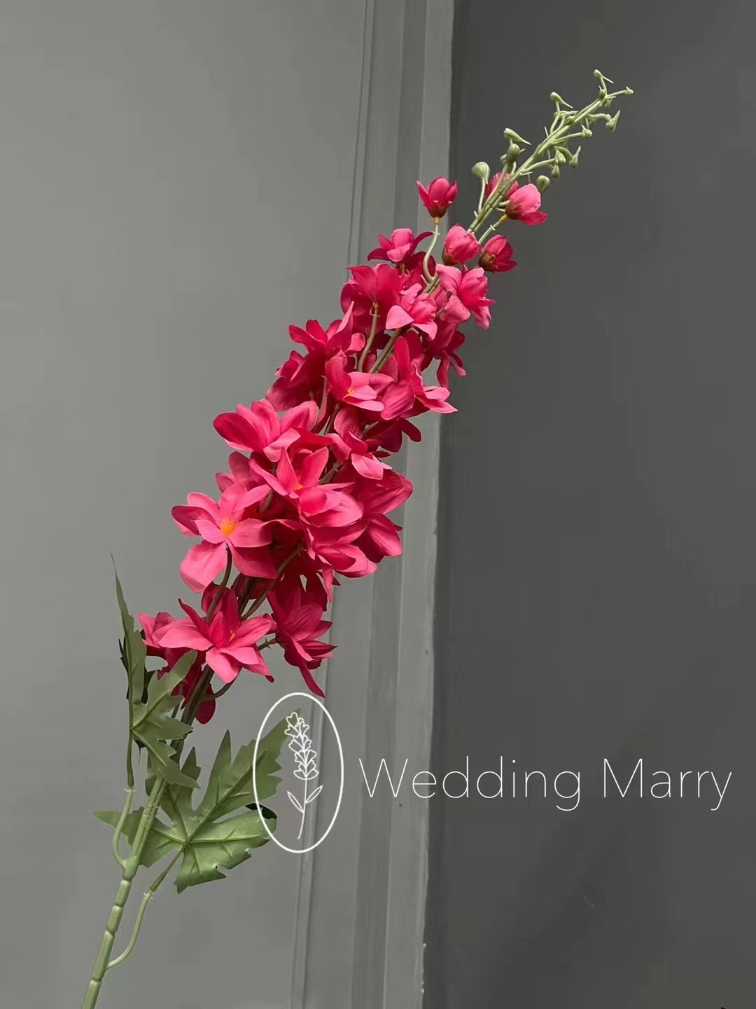 微信图片_20231012163553