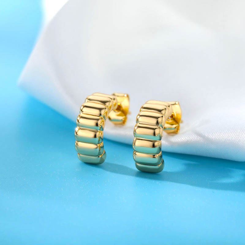 European And American Storm U-shaped Earrings Female 18k Gold-plated Copper Earrings display picture 2