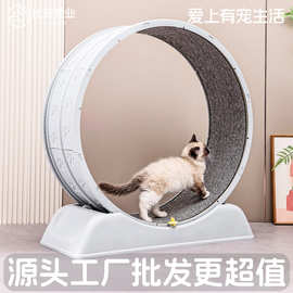 定制爆款猫咪跑步机静音宠物健身滚轮防夹脚大型猫爬架猫玩具批发