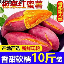 ɳ�س������������t�����r���������S�ļt���t�����ϼt�����t��