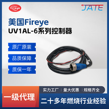 ����Fireye ��zUV��� UV1A6 ���C7027A1049 ԭ�b��Ʒ