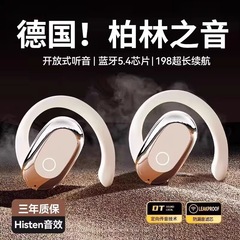 Voice of Berlin 2025 新しいスポーツワイヤレス Bluetooth ヘッドセット防水非インイヤーノイズリダクション超長バッテリー寿命