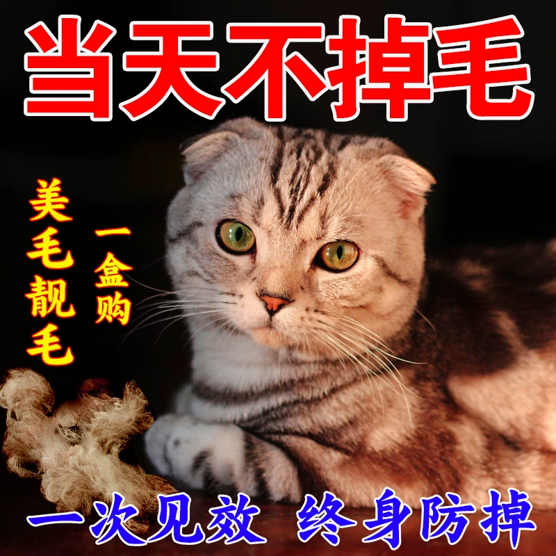 Что кормить кошек с тяжелой выпадением волос, лецитин и витамины, средство против выпадения волос для кошек, красота волос, средство против выпадения волос для домашних животных, корм для кошек