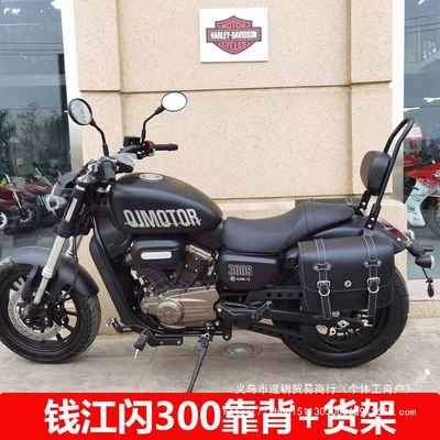 Suitable for Qianjiang Flash 300 Motorcycle Modified Rear Rack, Backrest, Tail Rack, Trunk Rack, Accessory Panel Rack