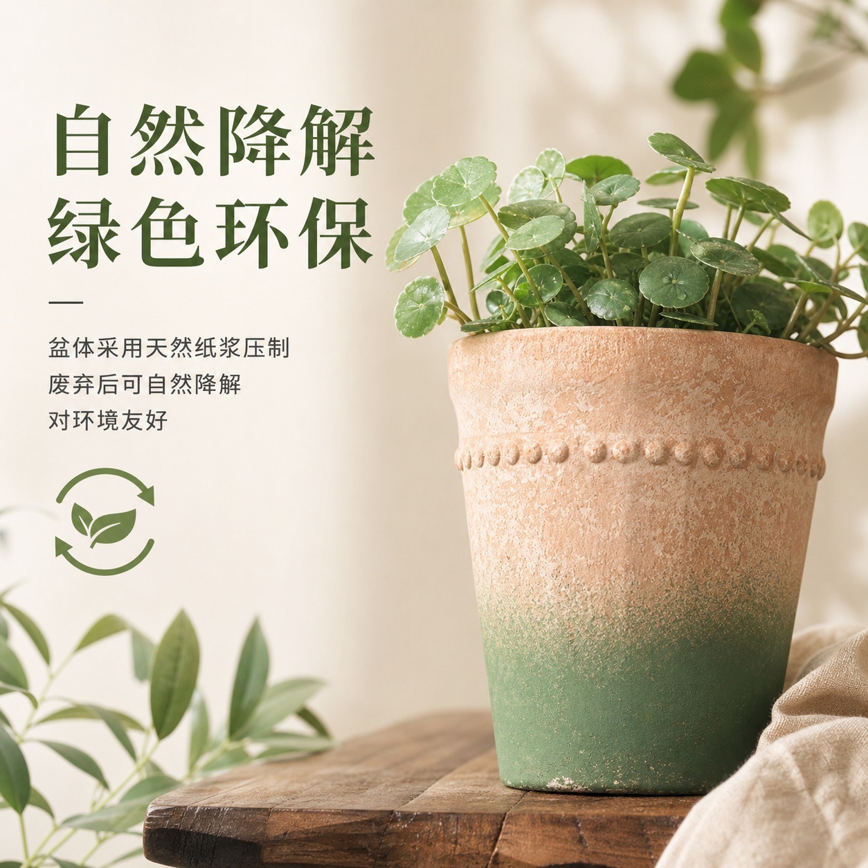 1114青苔杯详情页 (12).jpg