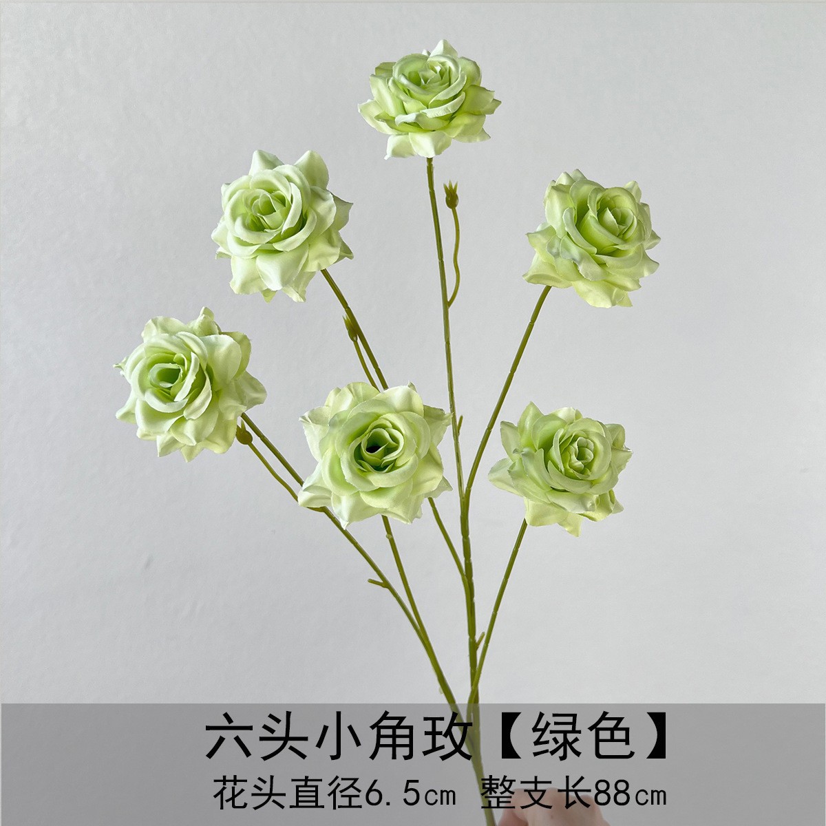 Seis pequeñas rosas de cuerno - verde