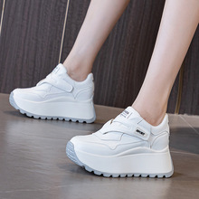 ����ɸ������8cmħ�g�N�ٴ�A�^�p��2024�¿����e�\��С��ЬŮ
