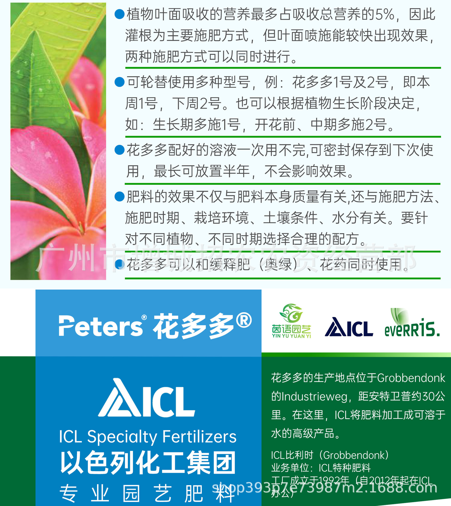 详情图