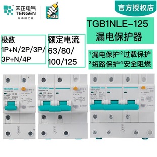 Tengen Tianzheng Electric Tgb1Nle-125 Leakage Protector Circuit Breaker Air Switch Leakage Protection 2P 100A
