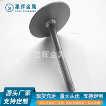 �������ż���g���o�� �g�y���� �ض�Ӌ�g�׹� �ض�Ӌ���o��