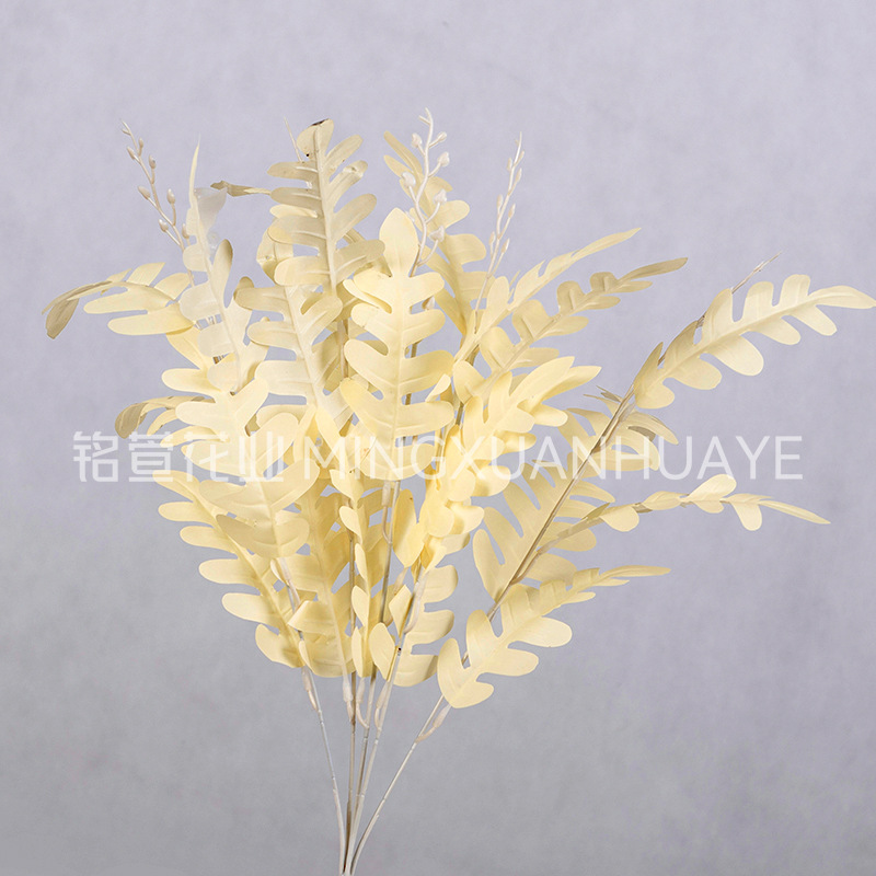 샴페인 컬러 - 아카시아 잎 다발