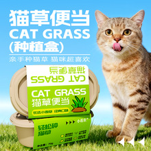 С���r�������ԏS�����l؈�ݱ㮔�Nֲ����