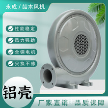 CZ-LD550W250W¯���¯������ѹ�������������ʽ�ķ��С��220V