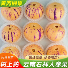 ʯ���˅������rˮ��10�����S������˅����������������A������