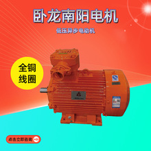 卧龙南阳电机低压煤矿井下用隔爆型三相异步电动机厂家直供