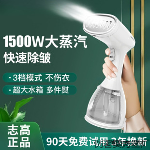 Handheld Garment Ironing Machine Steam Electric Iron Household Small Portable Ironing Clothes Dormitory Ironing Machine Free Shipping