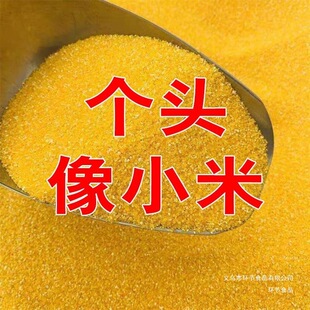 �´����������5�����ײ����S���ײ����׼R���������׼R�������