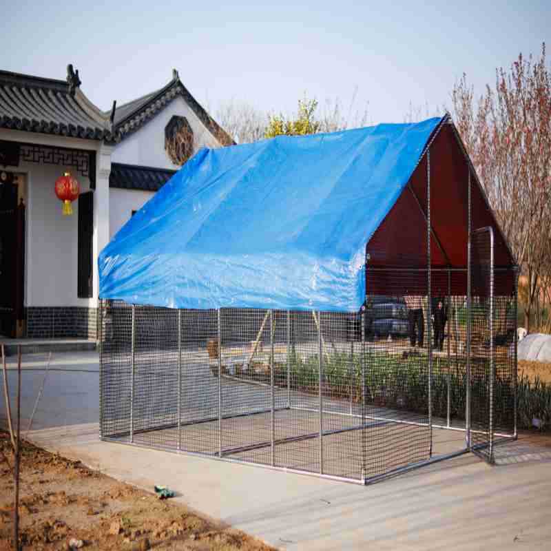 屋外鶏小屋、特大家禽鶏小屋、鶏小屋、鳩小屋、孔雀防雨鶏小屋、大型構築家庭用飼育小屋|undefined