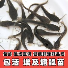 �������X�~�������~������T����T�~�絭ˮ�Bֳʳ�ø�����T�~��