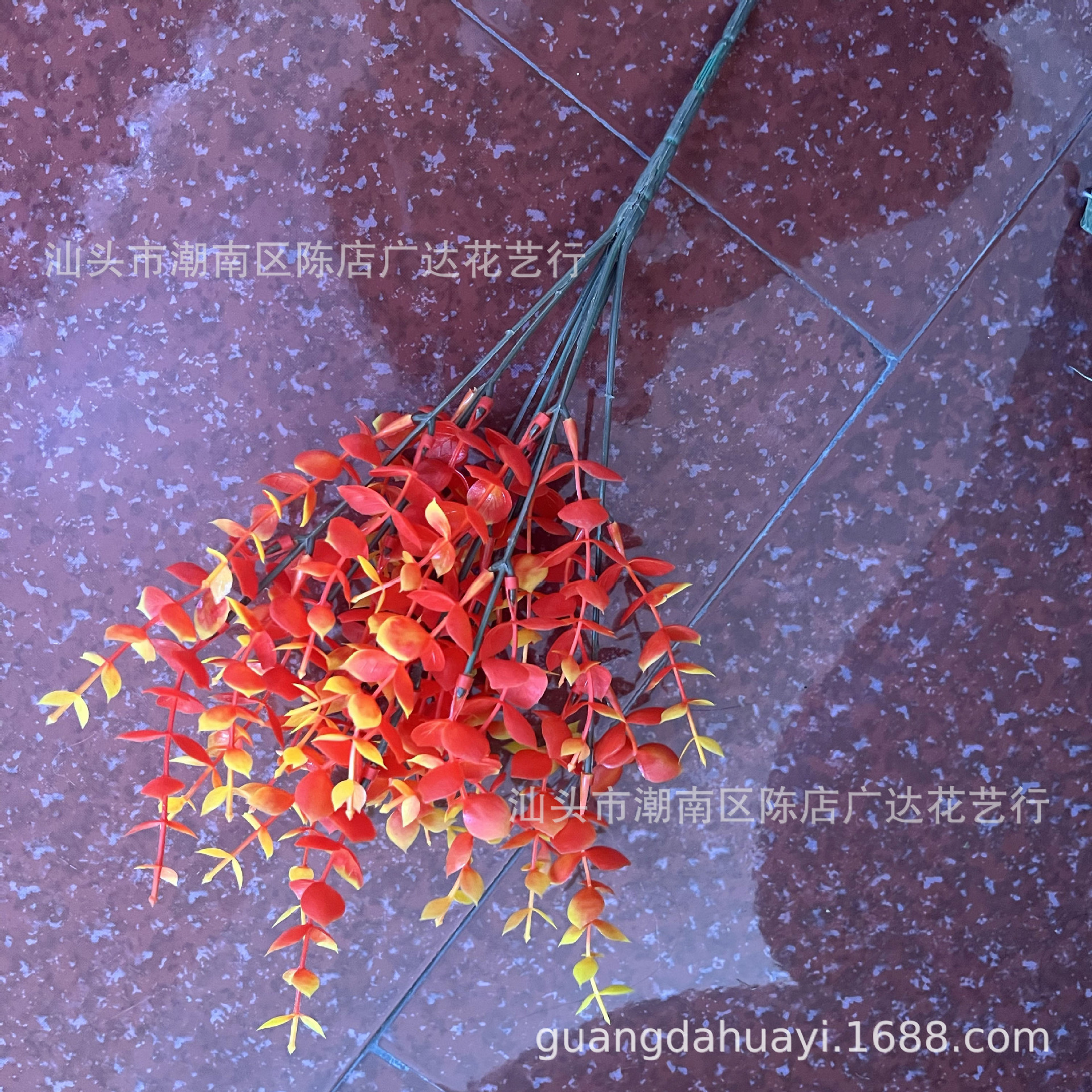 7 primeros otoño eucalipto hierba puesta de sol roja (brillante) sin flores