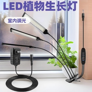 Wholesale 12V Power Supply Plant Growth Lamp Supplementary Light Clip Full Spectrum Seedling Succulent Plant Lamp Cross-Border Exclusive Supply