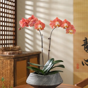 ��ʽ�͹��մɻ���U�⮐���҃ȴ�ڏ�С�~��骺����m�辰�쾰����