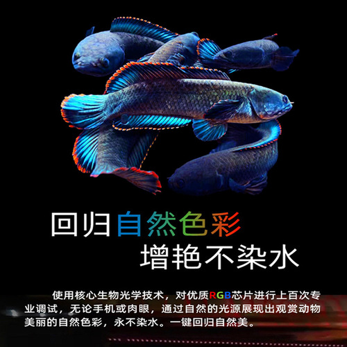 Neo SOLAR Daylight Color Lamp Thunder Dragon Fish Special Lamp Diving Lamp LED Fish Tank Lamp Goldfish Brightening Lamp
