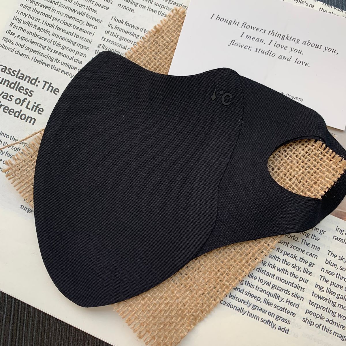 face-covering Veil German Seamless Sun 2025 New UV Protection Women Summer Thin Breathable Ice Silk Face Mask 3D Stereoscopic_voghion.com