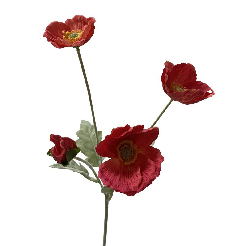 Moisturizing poppy-red