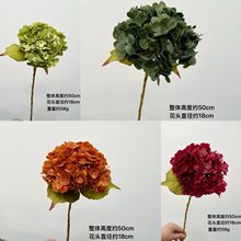 ��� �����ָ�176Ƭ���� ��c�廨�����ٻ����b�С����