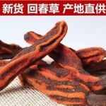 回春草顶天柱文王一支笔蛇菰泡水泡酒煲汤各种吃法正宗回春草