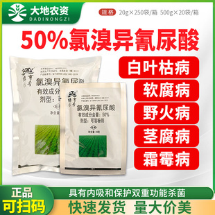 �G��6̖50%���宐�������S��˪ù����ײ�ܛ��������Ұ�𲡚�����