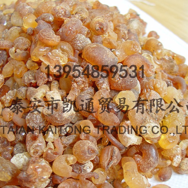 ����������������������������������ԭ�������ֻ�