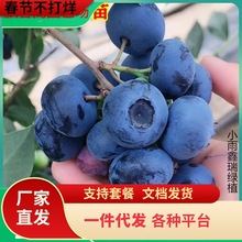 һ�����l�{ݮ���������Ԏ����ش���Y���̨�����ļ��ϱ����N