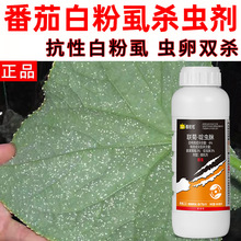 wʭ׷ʭxСwxS߲˰׷ʭ߲rș