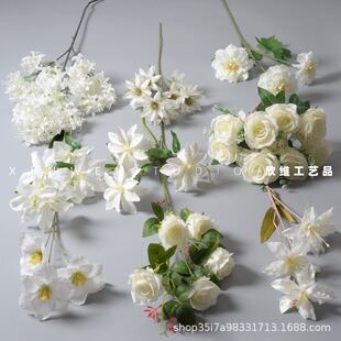 ��ɫϵ��c���滨�Ļ�Y�õ�피ٻ���̨���Ż�·���廨�Ƶ��b�