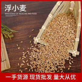 浮小麦批发 新货淮小麦一手货源 散装浮水麦量大从优