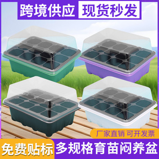 ���R�d�羳���N6��12��Ѩ�P�Nֲ�������א��B������������Ў��w