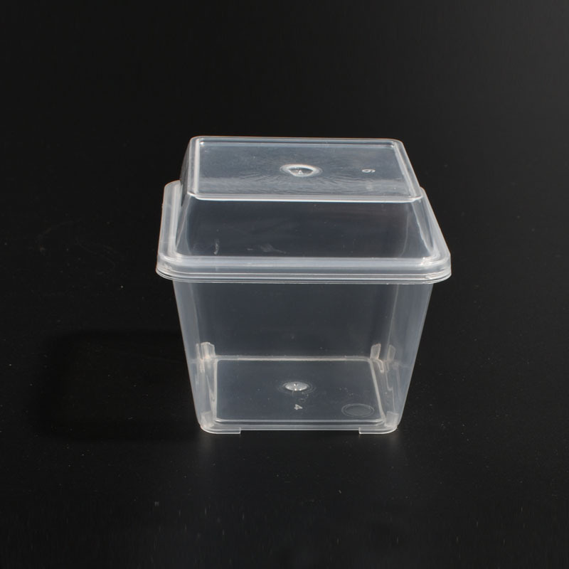 O1CN01T1S1pm1wu8iyo67lk_!!2182806367-0-cib.jpg?__r__=1721790568425