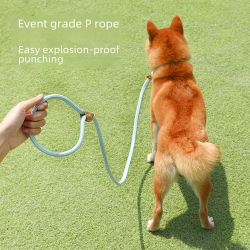 [Direct supply from super factory] Dog leash, medium and large dog chain collar, dog walking P chain, p rope pet supplies