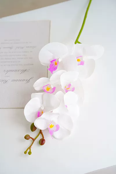 White HD-10-02