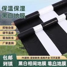 �����ڰ׵�Ĥ�Ӻ�ũ�÷�����ֲ�ֻ��������ֲ��ָ���������