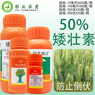 �������`50%�������߲˹���С����ֹ���Lͽ�L����ֲ�����L�{����