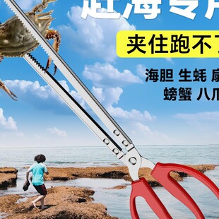 �s�������s���A���S�X�A���X�~�A���q�з�Q���s�����Q�����A��Ʒ