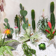 ���������� ins�L���W�b�С������������������[�şᎧɳĮֲ��